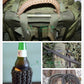 Military 550 Paracord Rope 100M 50M 31M 7 Strand 4mm Parachute Cord Outdoor Camping Survival Gear DIY Bracelet Tent Line