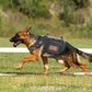 Durable Tactical Military Dog Harness Strong Nylon Pet Vest Working Dog Training Harness With 2 Bag 3 Flag For Small Large Dogs